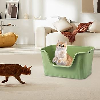Amazon | Toysmith ハイサイド猫トイレ 小型猫と大型猫用 ペット